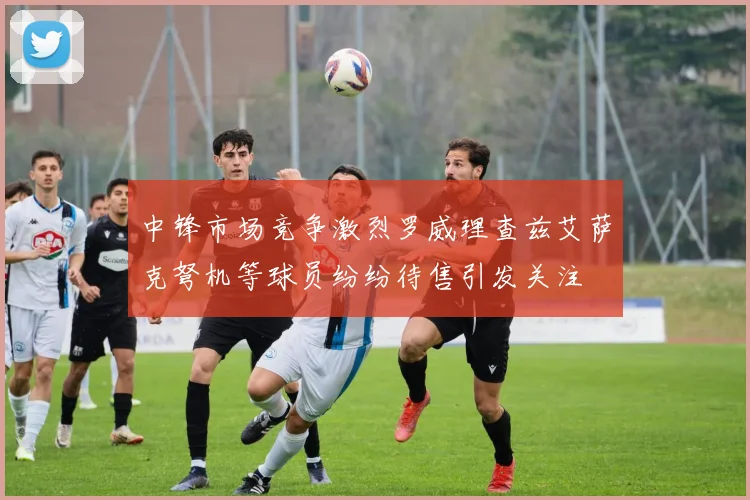中锋市场竞争激烈罗威理查兹艾萨克弩机等球员纷纷待售引发关注