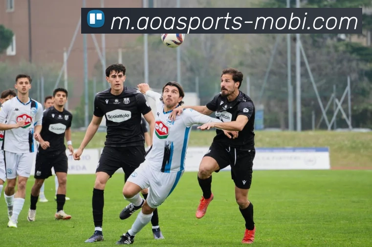 AOA体育服务体系